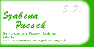 szabina pucsek business card